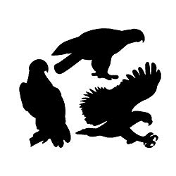 Woodworking Project Paper Plan to Build Eagle Pack of Shadow