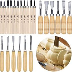 WAYCOM Juego de cuchillos de madera de 24 piezas, kit de tallado de madera, juego de cinceles profesional, incluyendo pequeño, medio, tamaño grande (24 piezas)