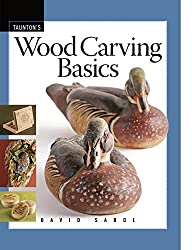 Wood Carving Basics (Fine Woodworking DVD Workshop)